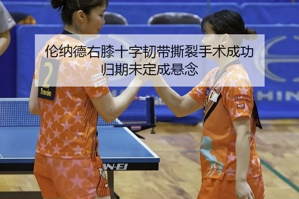 lun-na-de-you-xi-shi-zi-ren-dai-si-lie-shou-shu-cheng-gong-gui-qi-wei-ding-cheng-xuan-nian-2-410.jpg