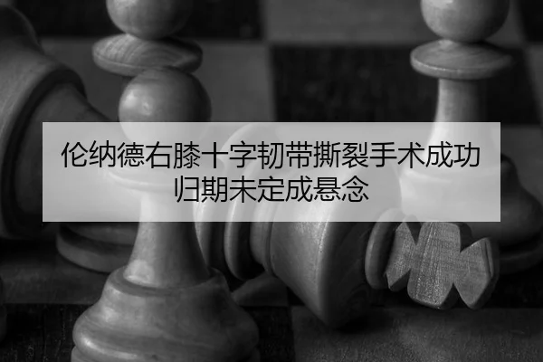 lun-na-de-you-xi-shi-zi-ren-dai-si-lie-shou-shu-cheng-gong-gui-qi-wei-ding-cheng-xuan-nian-3-264.jpg